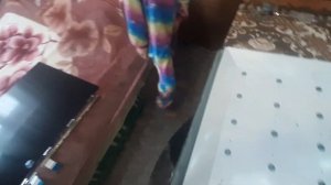 Ремонт Подсветки Телевизора Toshiba