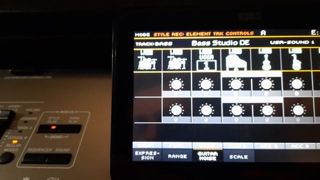 Korg Pa4x /Korg Pa5x -  New Bass Guitar