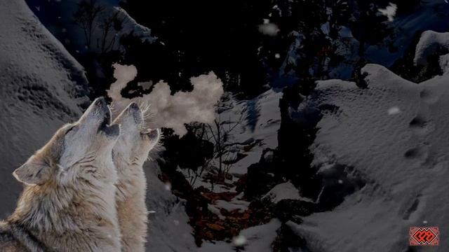 СЕРЫЙ - Серая волчица смотреть онлайн
