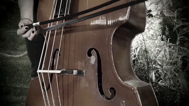 Ведьма (Мельница Cover) By BassoSoprano!