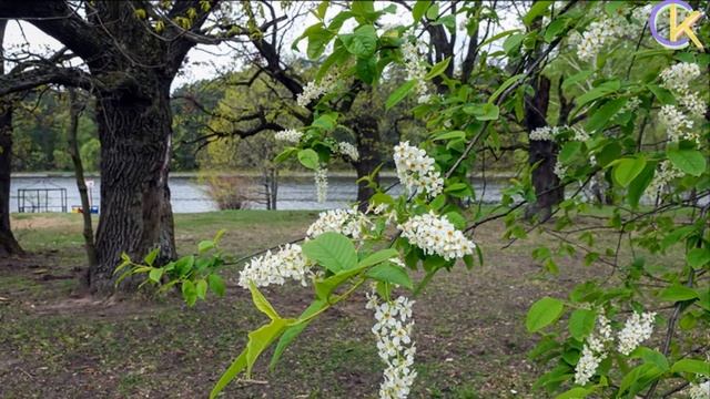 ВЕСНА НА РУСИ ФОЛЬКЛОР РУССКИЕ НАРОДНЫЕ ПРИМЕТЫ ТРАДИЦИИ ОБЫЧАИ СК смотреть онлайн