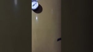 Stropuva котел секрет и подсказка в тупиковой ситуации