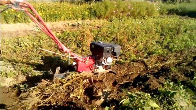 Активные роторы смотреть онлайн