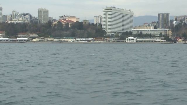 Сочи Морской порт поездка на яхте смотреть онлайн