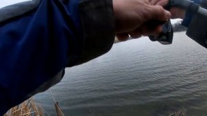 Жор Судака Весной. Снасть грушка ,  блесна пуля.