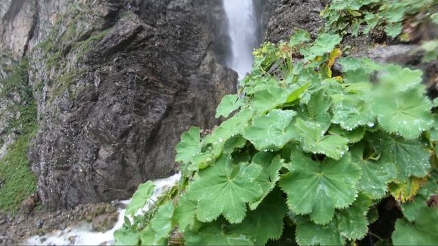 Влог с Кавказа №4. Софийские озёра. Перевал Иркиз. Высота 2900 метров! смотреть онлайн