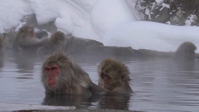 Сказка ощущений. Падай в любовь. смотреть онлайн