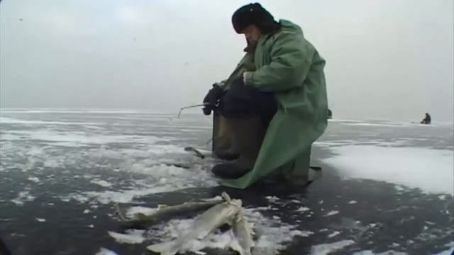 Ловля судака на балансир зимой, река Волга смотреть онлайн