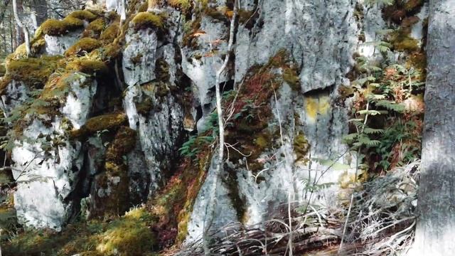 Карелия, Ладожские шхеры. Съемка с квадрокоптера. DJI Mavic Mini, Cinematic Video.