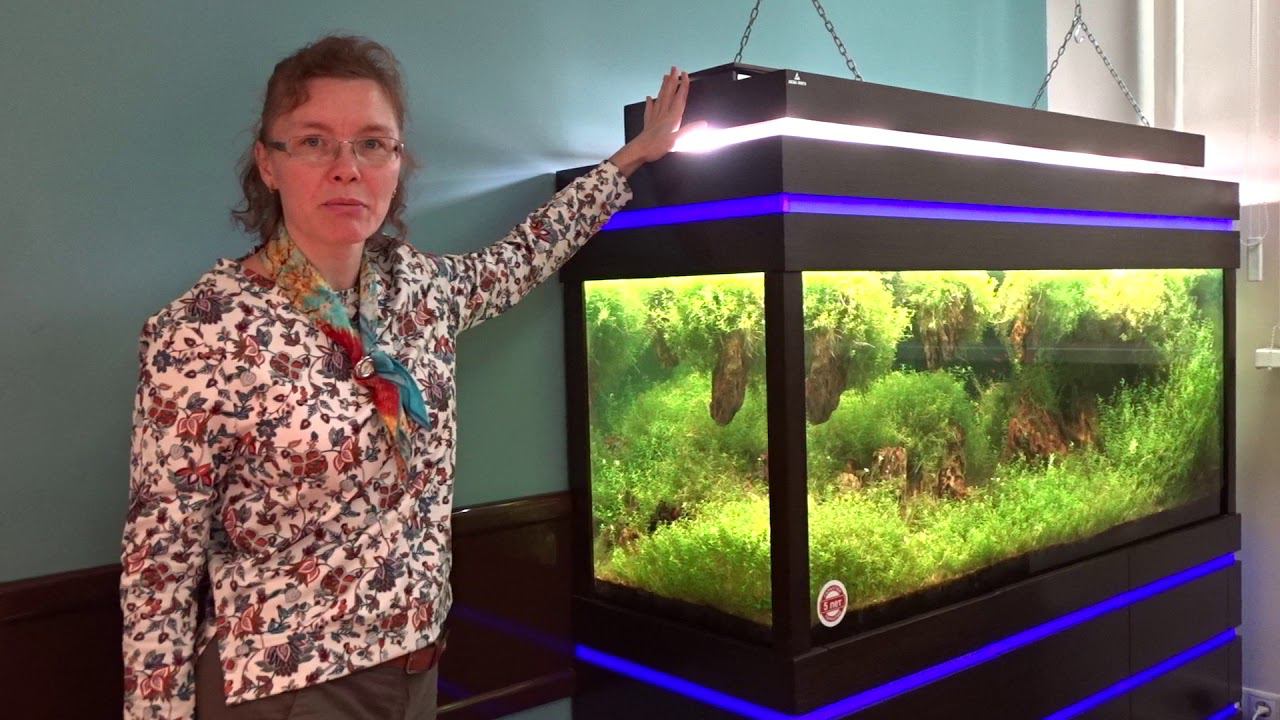 #Аквариум прямоугольный Аквариум АПР - 500 смотреть онлайн