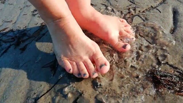 crush and stomp jellyfish смотреть онлайн