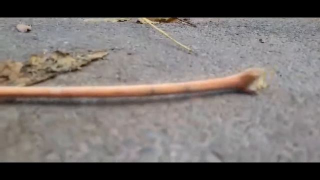 Как сделать (хорошие) НуНчАкИ но безопастно😐 смотреть онлайн