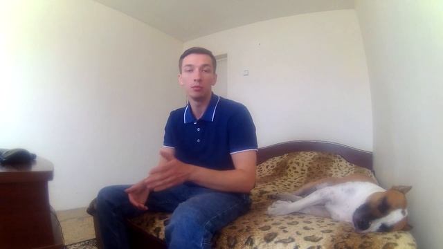 ПИТБУЛЬ НЕ САМАЯ СИЛЬНАЯ СОБАКА В БОЯХ смотреть онлайн