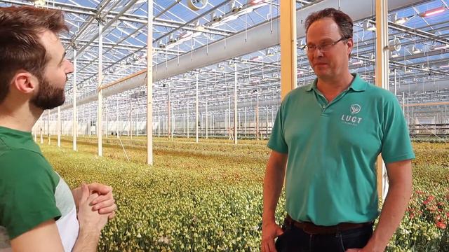 Grower tour : Lugt Lisianthus смотреть онлайн