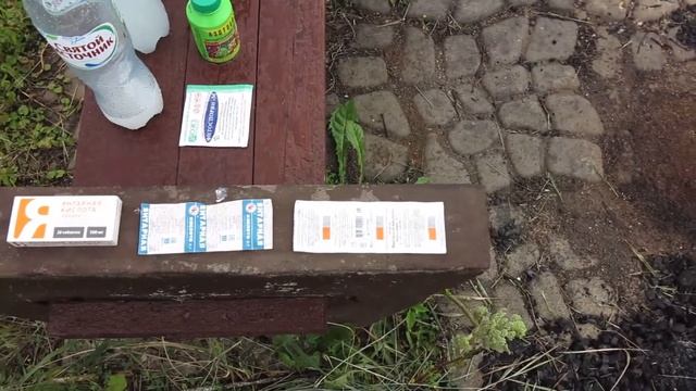 Биопрепараты и янтарка смотреть онлайн