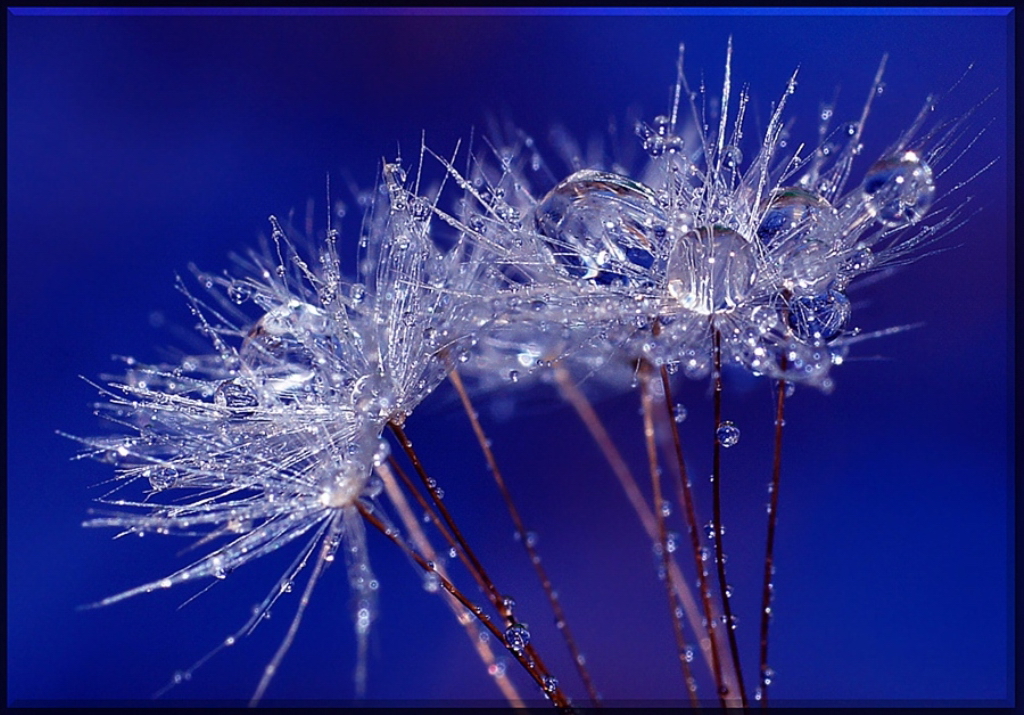 Хрустальные покрова