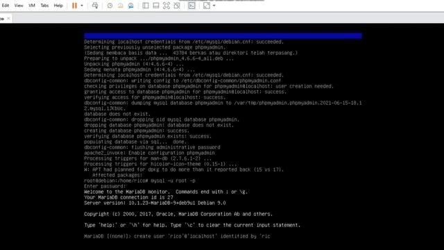 Cara mengkonfigurasi Database Debian 9 смотреть онлайн
