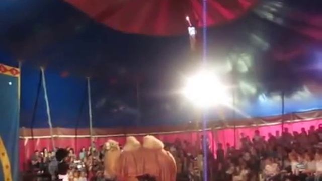 Цирк Грузия смотреть онлайн