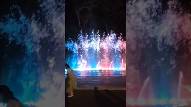 Подсолнухи на танцующих фонтанах смотреть онлайн