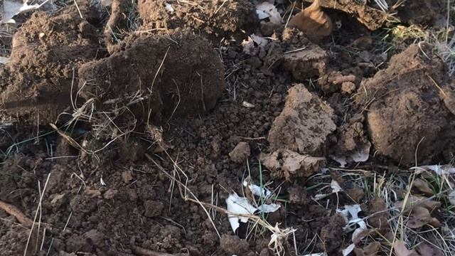 Ещё «масоны» с той же поляны. Поляна с имперскими монетами! смотреть онлайн