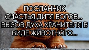 ПОСЛАННИК СЧАСТЬЯ,ДИТЯ БОГОВ...ДЛЯ ВСЕХ..