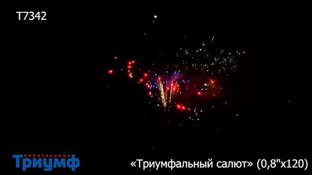 Батарея Салютов "Триумфальный Салют"(0, 8 дюйма×120 залпов) смотреть онлайн