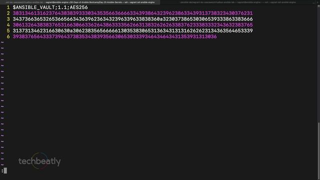 Managing Secrets in Ansible | #Ansible #FullCourse #Ansibleforbeginners | techbeatly смотреть онлайн