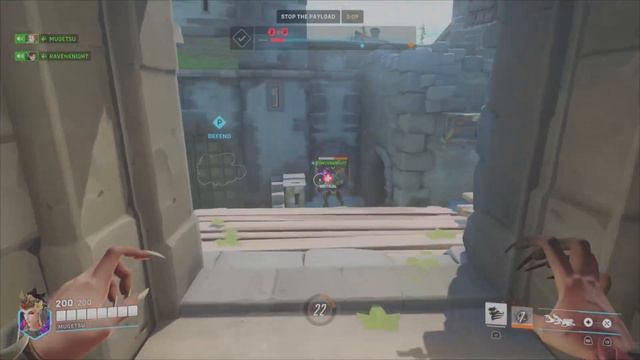 Overwatch 2 made my friend a furry смотреть онлайн