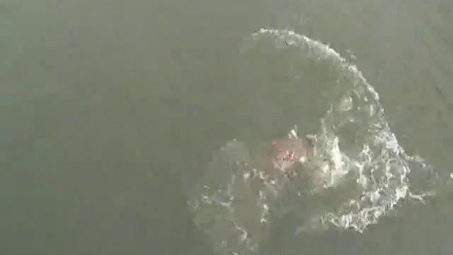 Охота на крокодила смертельная рыбалка смотреть онлайн