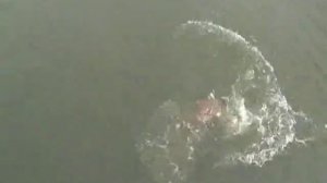 Охота на крокодила   смертельная рыбалка