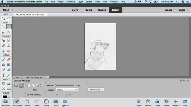 Custom Pumpkin Carving Template with Photoshop Elements 15 смотреть онлайн