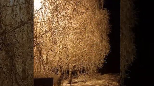 #Зимняясказка#КАЗАНКОВО#зима2021#А.Бардин смотреть онлайн