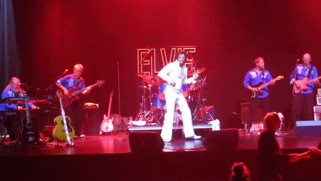 Elvis on My Mind med Brian Troy - Blue Swade Shoes (Carl Perkins) смотреть онлайн