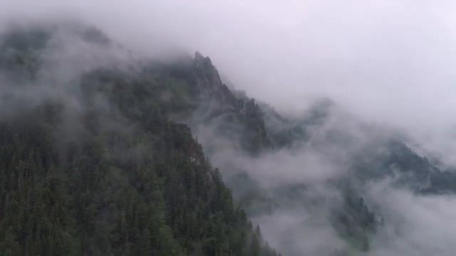 Основы учения о биосфере. Предисловие. смотреть онлайн