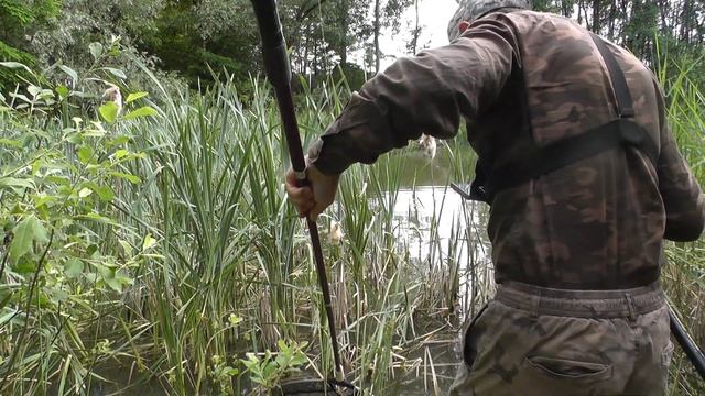 Торпеды рвут снасти! ???? Рыбины лесного озера на удочку из густых зарослей ? смотреть онлайн