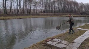 Ловим форель в Воронежское области,на Форелевом озере в Семидесятном