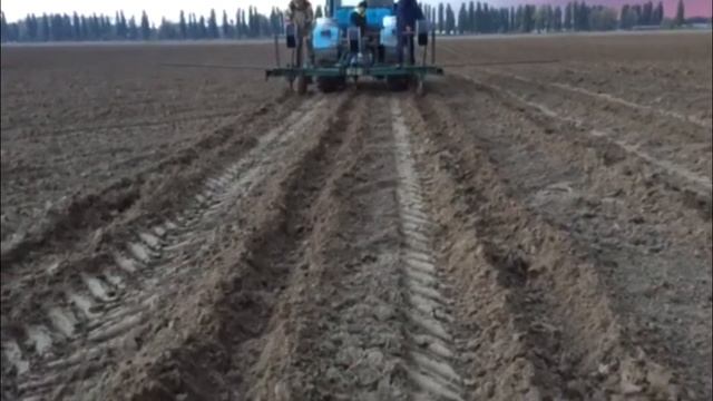 3 шага по монтажу внутрипочвенного (подземного) капельного орошения смотреть онлайн