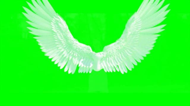 Футажи для видеомонтажа Крылья ангела Angel Wings Green Screen смотреть онлайн