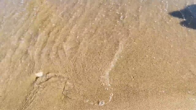 Приехали в ДЖУБГУ. ЧЕРНОЕ МОРЕ. Шиндр Мындр. Часть 1.