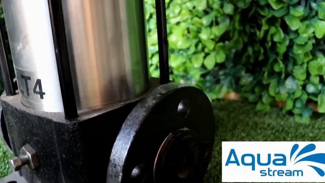 Shimge BL смотреть онлайн