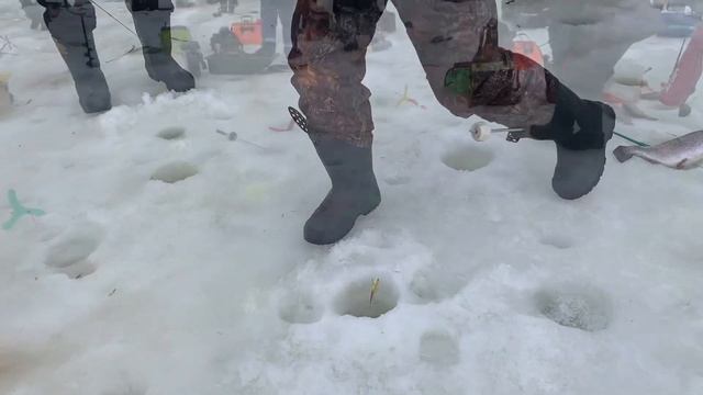 Поимки спорт зона.Красногорск рыбалка смотреть онлайн