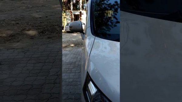 Меняем наклон боковых зеркал заднего вида на Toyota Voxi 2010