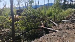 Бульдозер режет волок.Работа в тайге.
