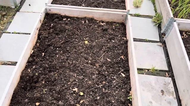 ОГОРОД В КОНЦЕ ОКТЯБРЯ ЧТО ЕЩЁ ОСТАЛОСЬ??КАБАЧОК КАВИЛИ УДИВИЛ УРОЖАЕМ В ЭТОМ ГОДУ ???? смотреть онлайн