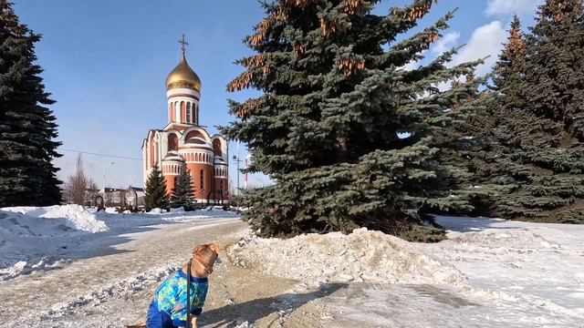 2023-02-12 смотреть онлайн