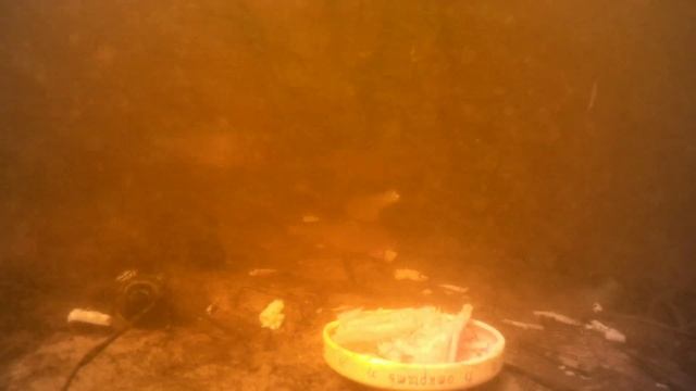 КРАБОВЫЕ ПАЛОЧКИ Будет ли клевать рыба? Реакция рыбы на Крабовые Палочки. Подводное видео. смотреть онлайн