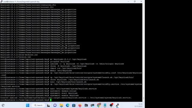 Install/configure keycloak with openldap смотреть онлайн