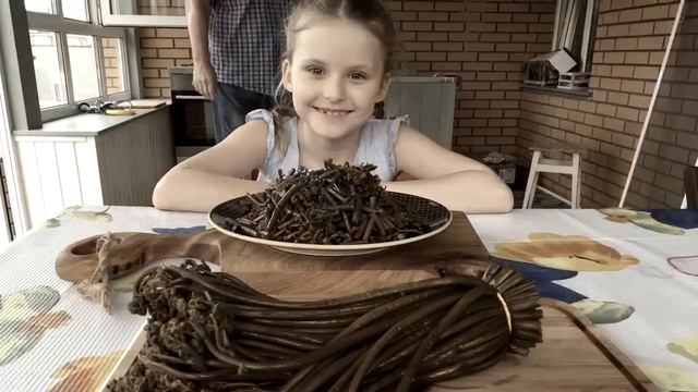 Как приготовить соленый папоротник Орляк смотреть онлайн