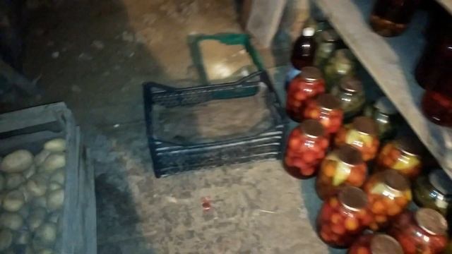 Обычный погреб в самой обычной украинской семье смотреть онлайн