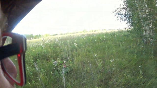 Охота с дратхааром. Утка. смотреть онлайн